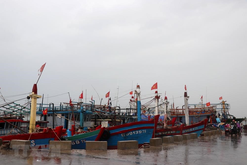 Các địa phương chủ động ứng phó với áp thấp nhiệt đới có khả năng mạnh lên thành bão